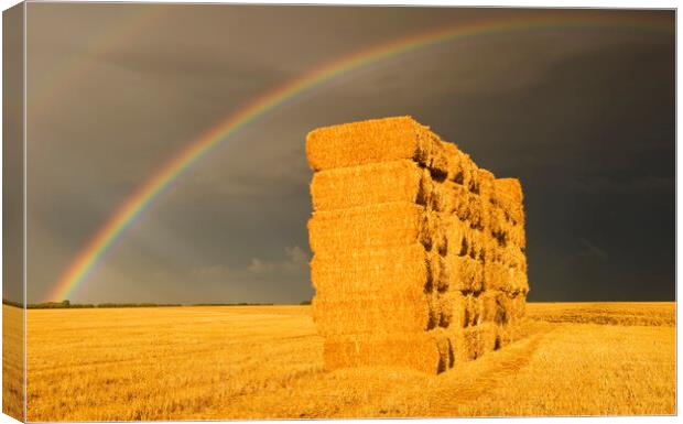 rainbow over wheat straw bales Canvas Print by Dave Reede