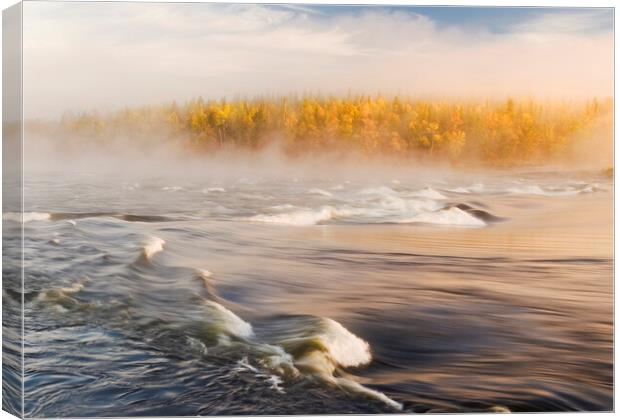 River in the Fog Canvas Print by Dave Reede