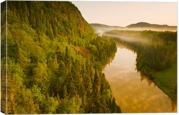 River through the forest Canvas Print by Dave Reede