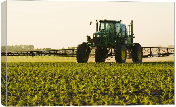 high clearance sprayer works in a field of early growth corn Canvas Print by Dave Reede
