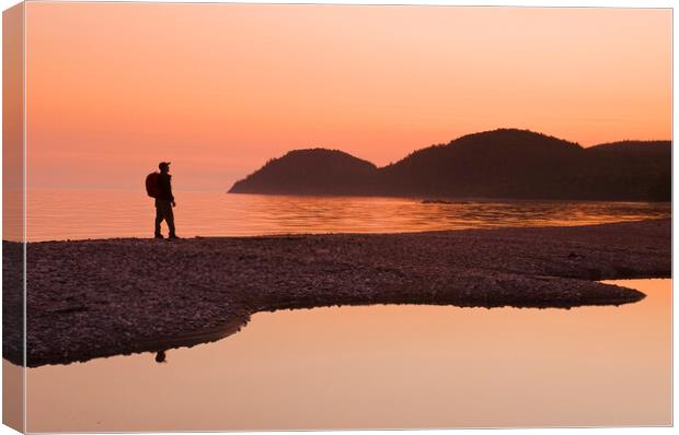 hiker along beach Canvas Print by Dave Reede