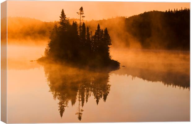 Misty Lake Canvas Print by Dave Reede