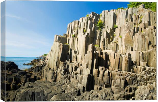 basalt rock cliffs Canvas Print by Dave Reede