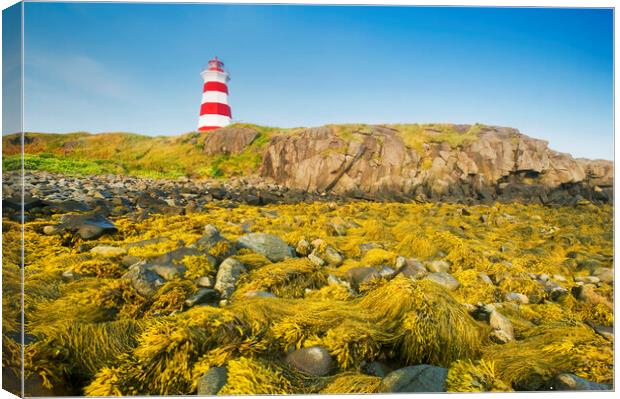 Brier Island lighthouse Canvas Print by Dave Reede