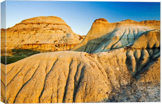 Weathered Landscape Canvas Print by Dave Reede