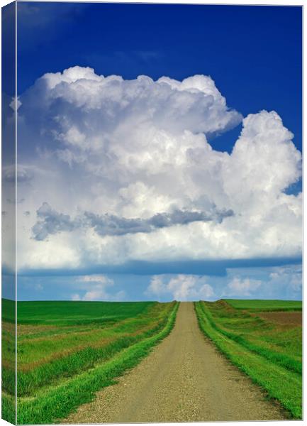 country road with cumulonimbus cloud mass in the background Canvas Print by Dave Reede