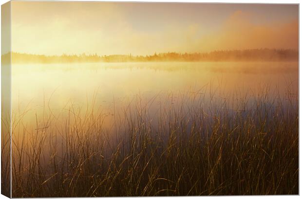 Duck Mountain Provincial Park Canvas Print by Dave Reede