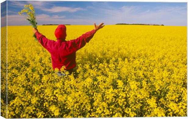 looking out over canola field Canvas Print by Dave Reede