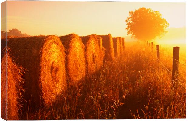 wheat straw bales at the edge of farmland Canvas Print by Dave Reede