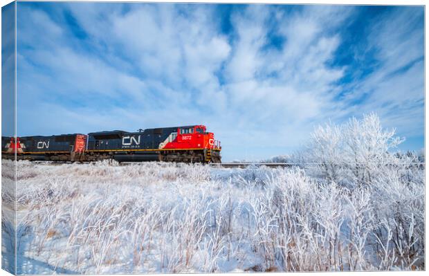 Train Passing a Snowy Landscape Canvas Print by Dave Reede