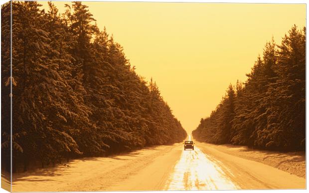 Winter Road Canvas Print by Dave Reede
