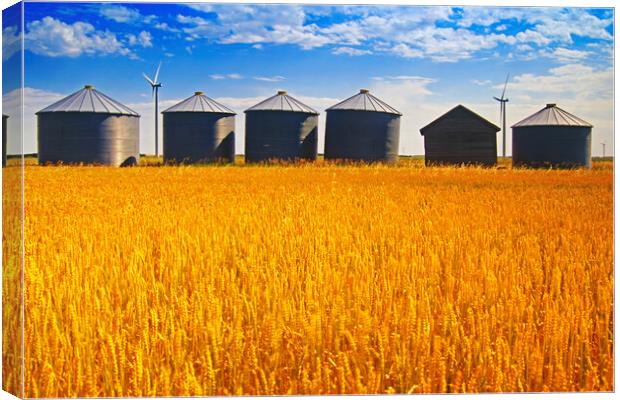 Old Grain Bins Canvas Print by Dave Reede