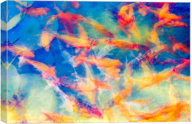 A Colorful Confusion Of Koi Canvas Print by Joseph S Giacalone