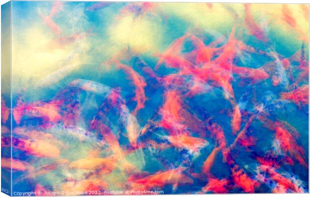 Joyful Koi Fish Abstract Canvas Print by Joseph S Giacalone