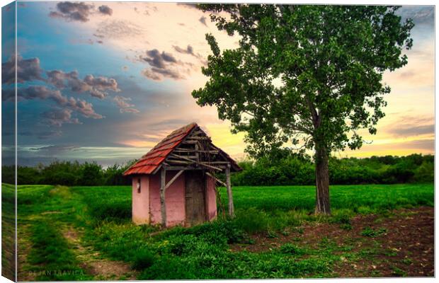 A hut in the field Canvas Print by Dejan Travica