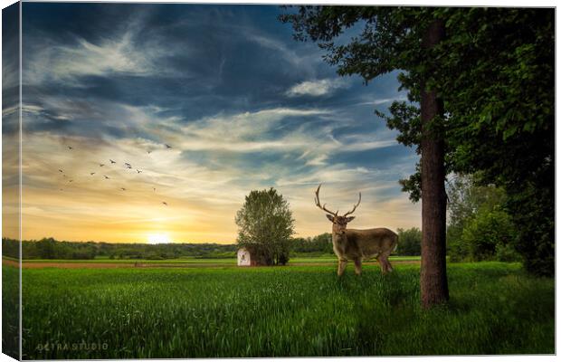 Deer in the field Canvas Print by Dejan Travica