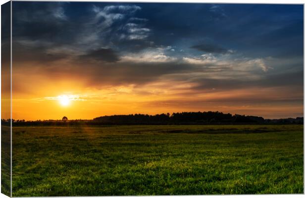Sunset in the field. Canvas Print by Dejan Travica