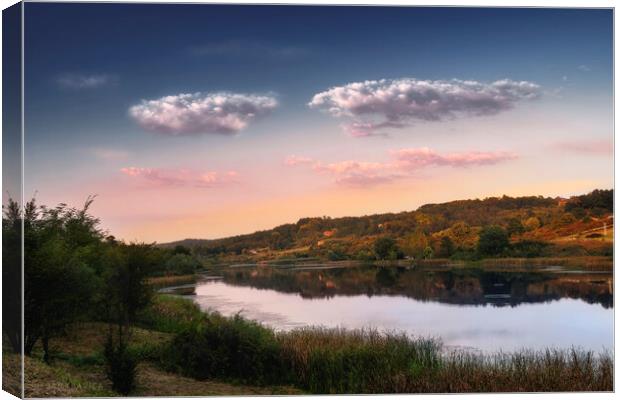 Small lake in the late afternoon Canvas Print by Dejan Travica