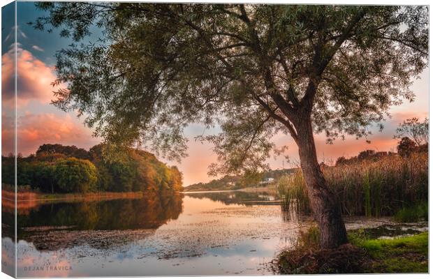 A secret place on the small lake 2 Canvas Print by Dejan Travica