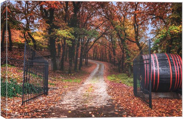 Entrance to the autumn forest Canvas Print by Dejan Travica