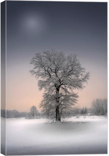 Winter solitude Canvas Print by Dejan Travica