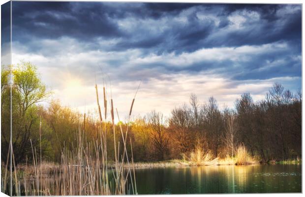 The Spring is slowly coming to the small lake. Canvas Print by Dejan Travica