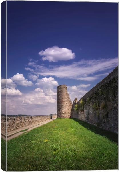 Tower and walls of the Smederevo medieval fortress in Serbia Canvas Print by Dejan Travica