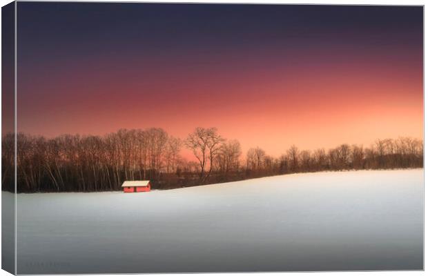 Red hut in the snow Canvas Print by Dejan Travica