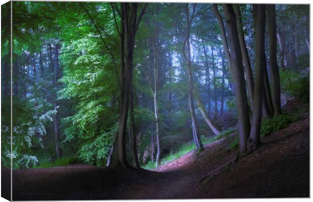 The road through the mystic forest Canvas Print by Dejan Travica