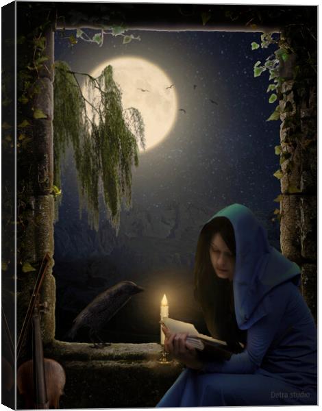 Reading in the moonlight Canvas Print by Dejan Travica
