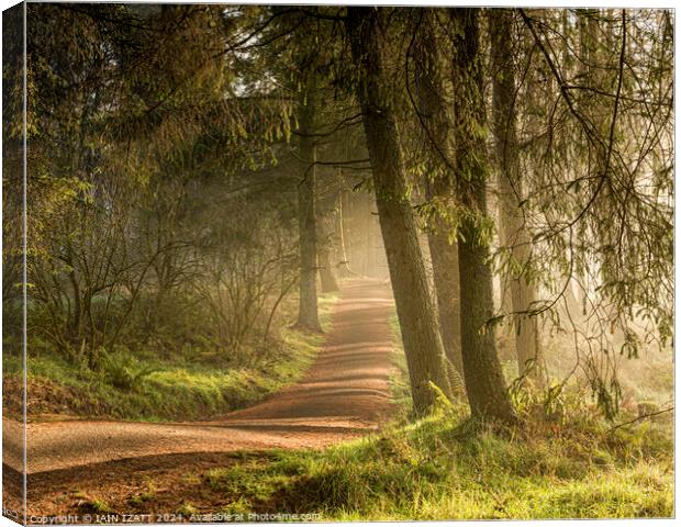 Beecraigs country park Canvas Print by IAIN IZATT