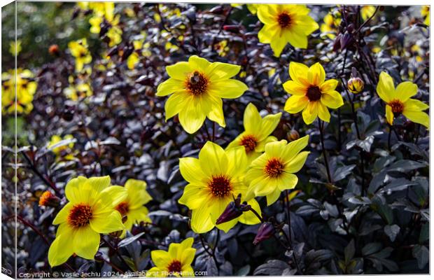 Plant flower Canvas Print by Man And Life