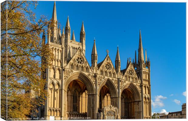 Peterborough Cathedral Canvas Print by Man And Life
