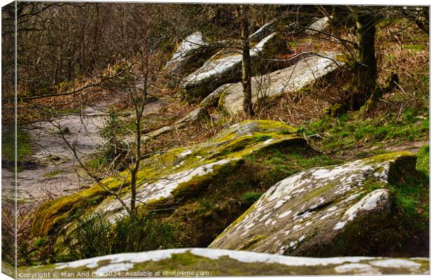 Moss-covered rocks in a forest with sunlight filtering through trees at Brimham Rocks, in North Yorkshire Canvas Print by Man And Life