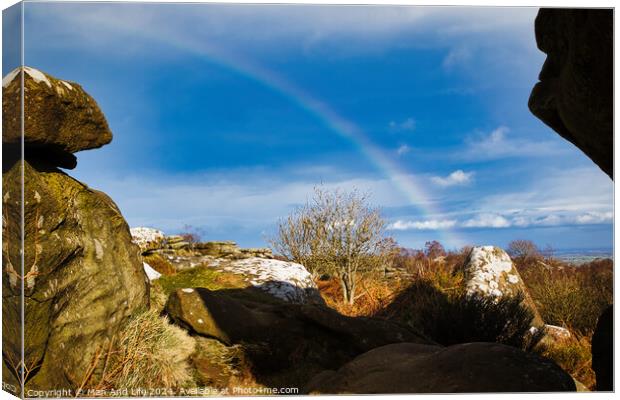 Scenic landscape with a rainbow over a solitary tree, framed by rocky outcrops under a blue sky with clouds at Brimham Rocks, in North Yorkshire Canvas Print by Man And Life