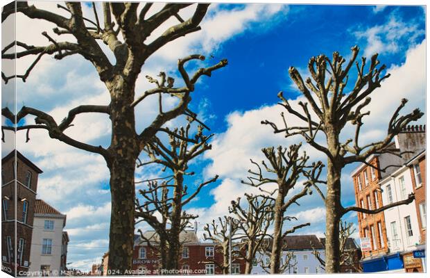 Leafless trees against a vibrant blue sky with fluffy clouds, showcasing a stark contrast between nature and the colorful facades of urban buildings in the background in York, North Yorkshire, England. Canvas Print by Man And Life