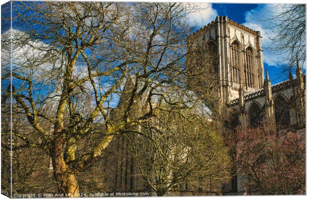 Historic cathedral with Gothic architecture, framed by leafless trees under a blue sky with fluffy clouds in York, North Yorkshire, England. Canvas Print by Man And Life