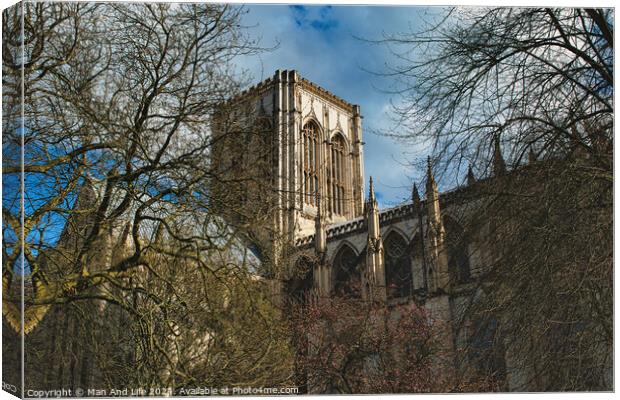 Majestic medieval cathedral with Gothic architecture, towering amidst leafless trees under a blue sky with fluffy clouds, ideal for historical or travel themes in York, North Yorkshire, England. Canvas Print by Man And Life