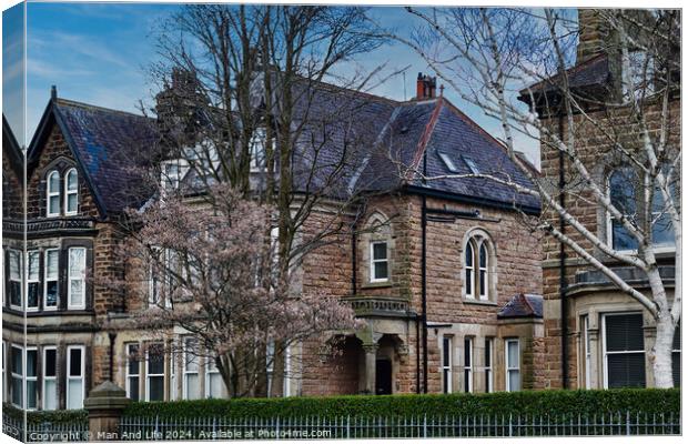 Traditional stone houses with slate roofs surrounded by bare trees and early spring blossoms under a clear blue sky in Harrogate, North Yorkshire. Canvas Print by Man And Life