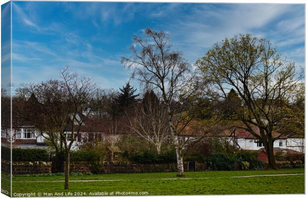 Tranquil suburban landscape with lush green grass, diverse trees in early bloom, and a clear blue sky, showcasing a serene residential neighborhood in Harrogate, North Yorkshire. Canvas Print by Man And Life