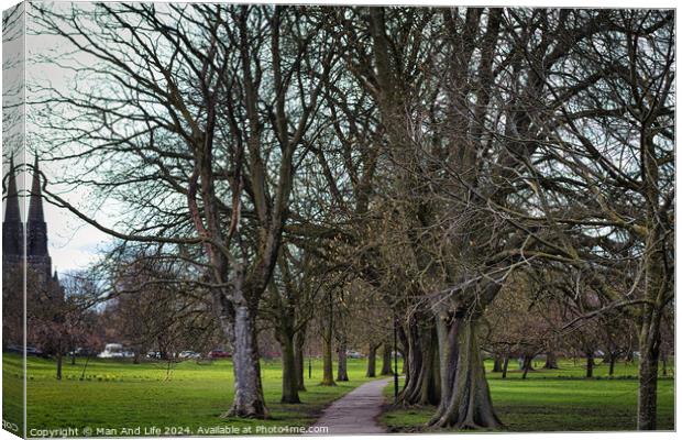 Serene park pathway lined with bare trees in early spring, with lush green grass on either side, hinting at the onset of new growth and natural beauty in Harrogate, North Yorkshire. Canvas Print by Man And Life
