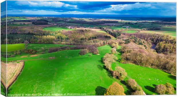 Aerial view of a vibrant rural landscape with lush green fields, patches of forests, and a clear view extending to the horizon under a partly cloudy sky. Canvas Print by Man And Life