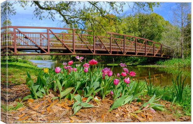 Spring Tulips and Foot Bridge in City Park Canvas Print by William Morgan