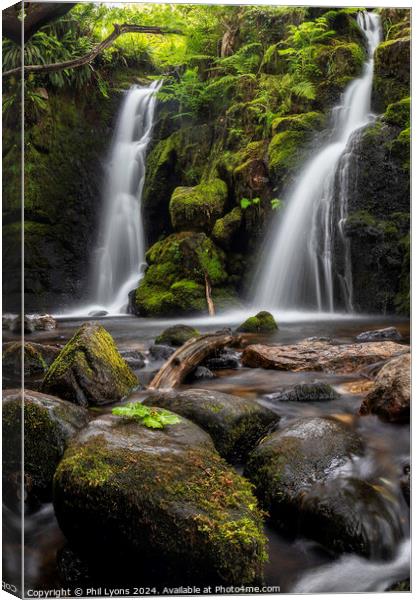 Twin Shower Canvas Print by Phil Lyons
