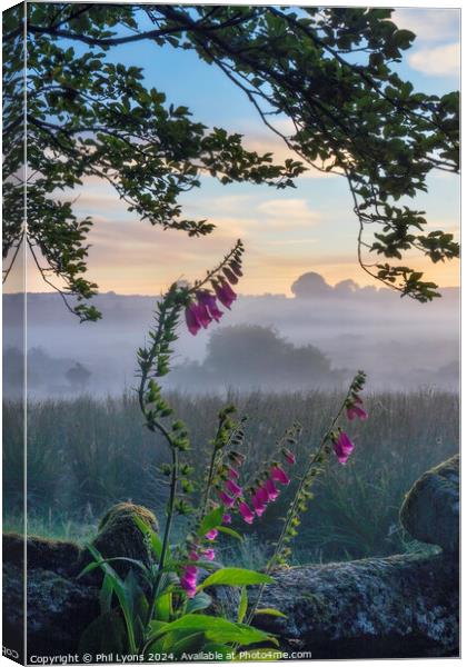Bellever Dawn Canvas Print by Phil Lyons