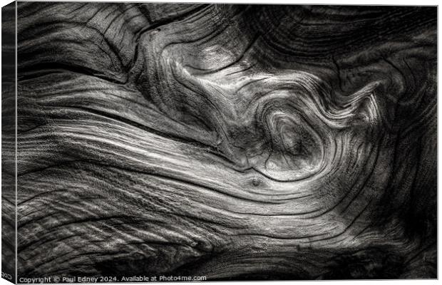 Monochrome curves in driftwood on Ynyslas Beach, W Canvas Print by Paul Edney