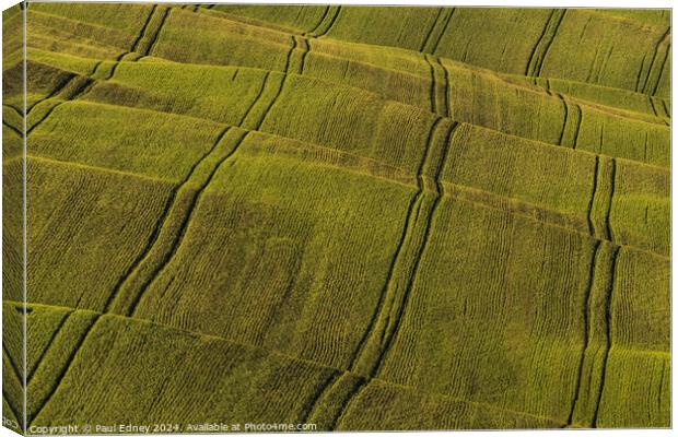 Abstract evening light on farmland in Tuscany Canvas Print by Paul Edney
