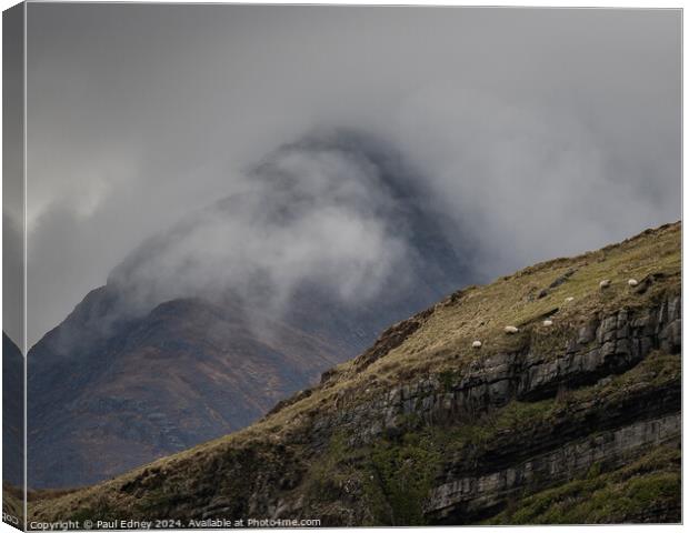 Sheep on the edge, Isle of Skye, Scotland Canvas Print by Paul Edney