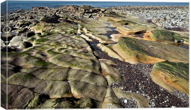 Rocks in Parton Bay, Whitehaven, Cumbria Canvas Print by Phil Brown