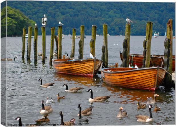 Rowing boats moored on Windermere. Canvas Print by Phil Brown